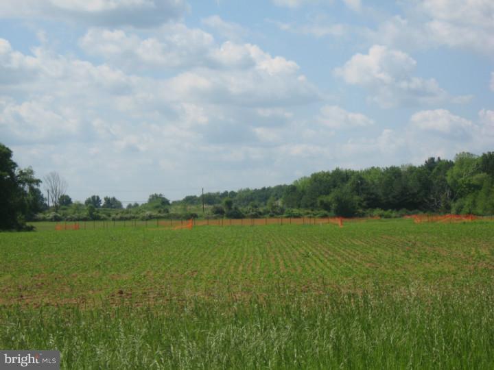 Lot 4 Smith Road Furlong, PA 18925 - Photo 2 of 3