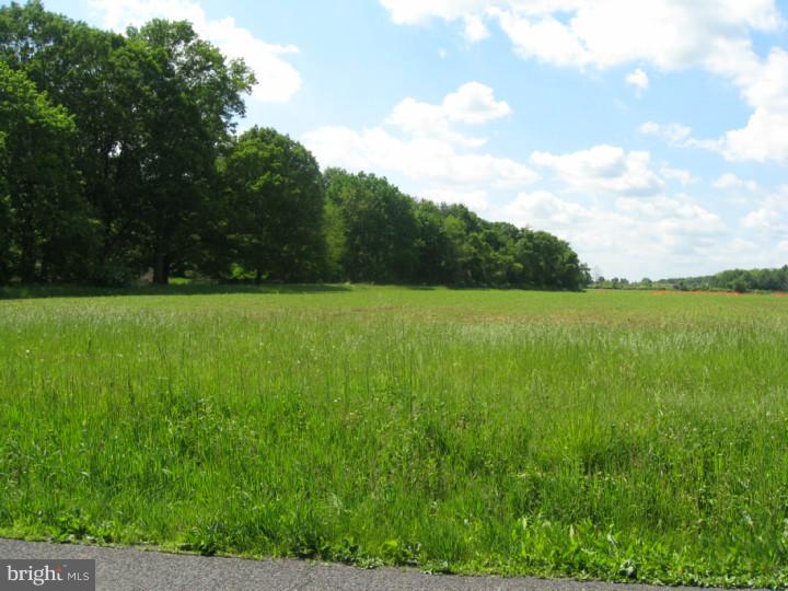 Lot 4 Smith Road Furlong, PA 18925 - Photo 3 of 3