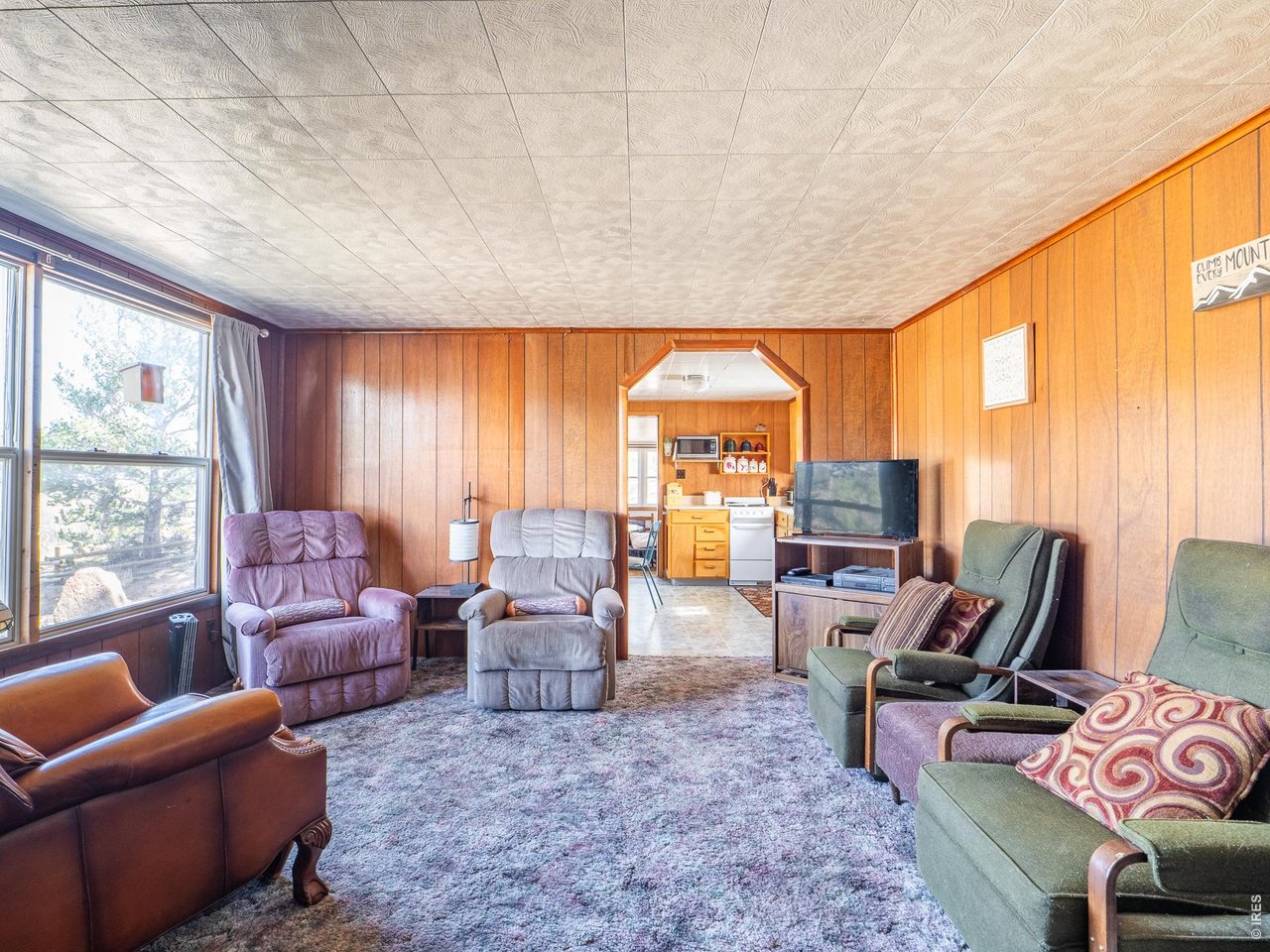 843 Nokomis Road Red Feather Lakes, CO 80545 - Photo 5 of 20