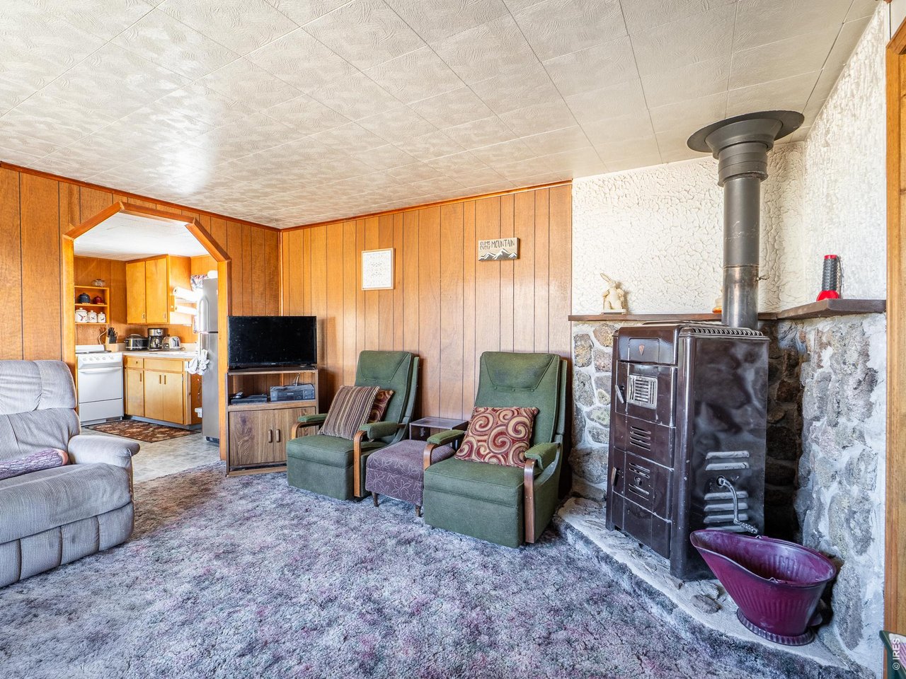 843 Nokomis Road Red Feather Lakes, CO 80545 - Photo 6 of 20 Living Room with Wood/Coal Stove