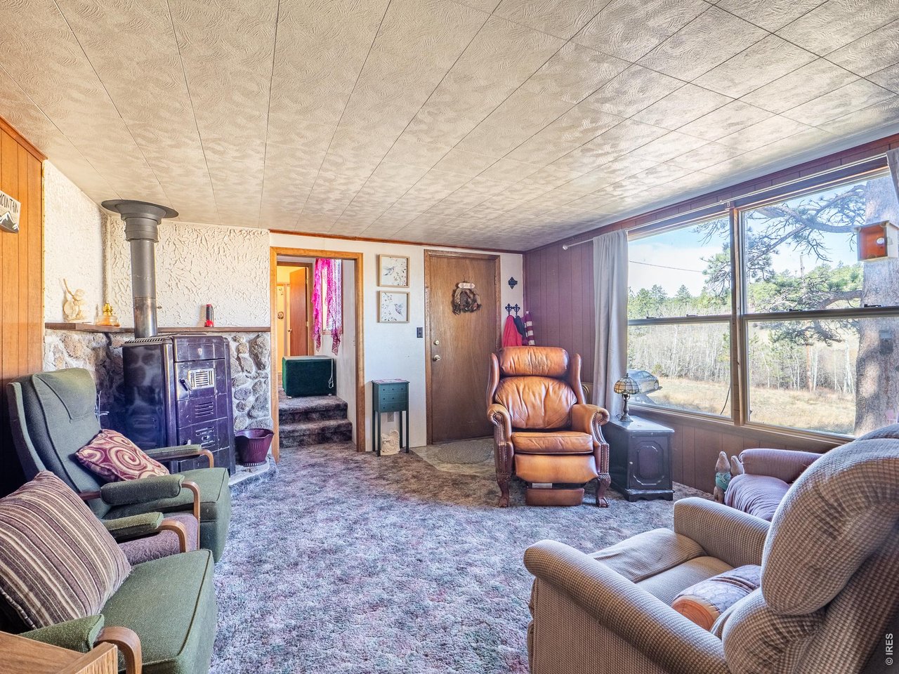 843 Nokomis Road Red Feather Lakes, CO 80545 - Photo 7 of 20 Entryway into the Living Room