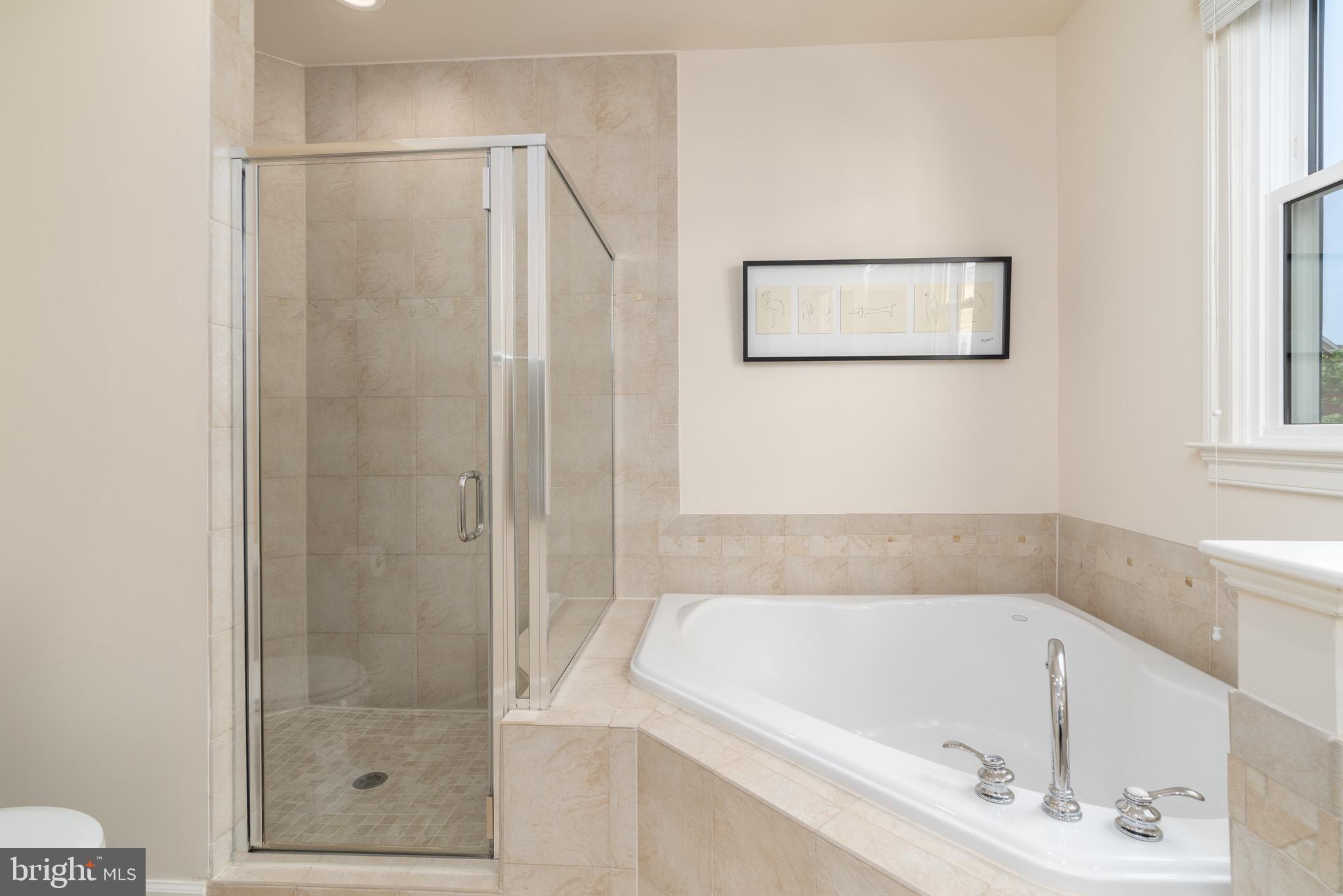 725 Carpenter Road Alexandria, VA 22314 - Photo 20 of 36 Separate shower and jacuzzi tub