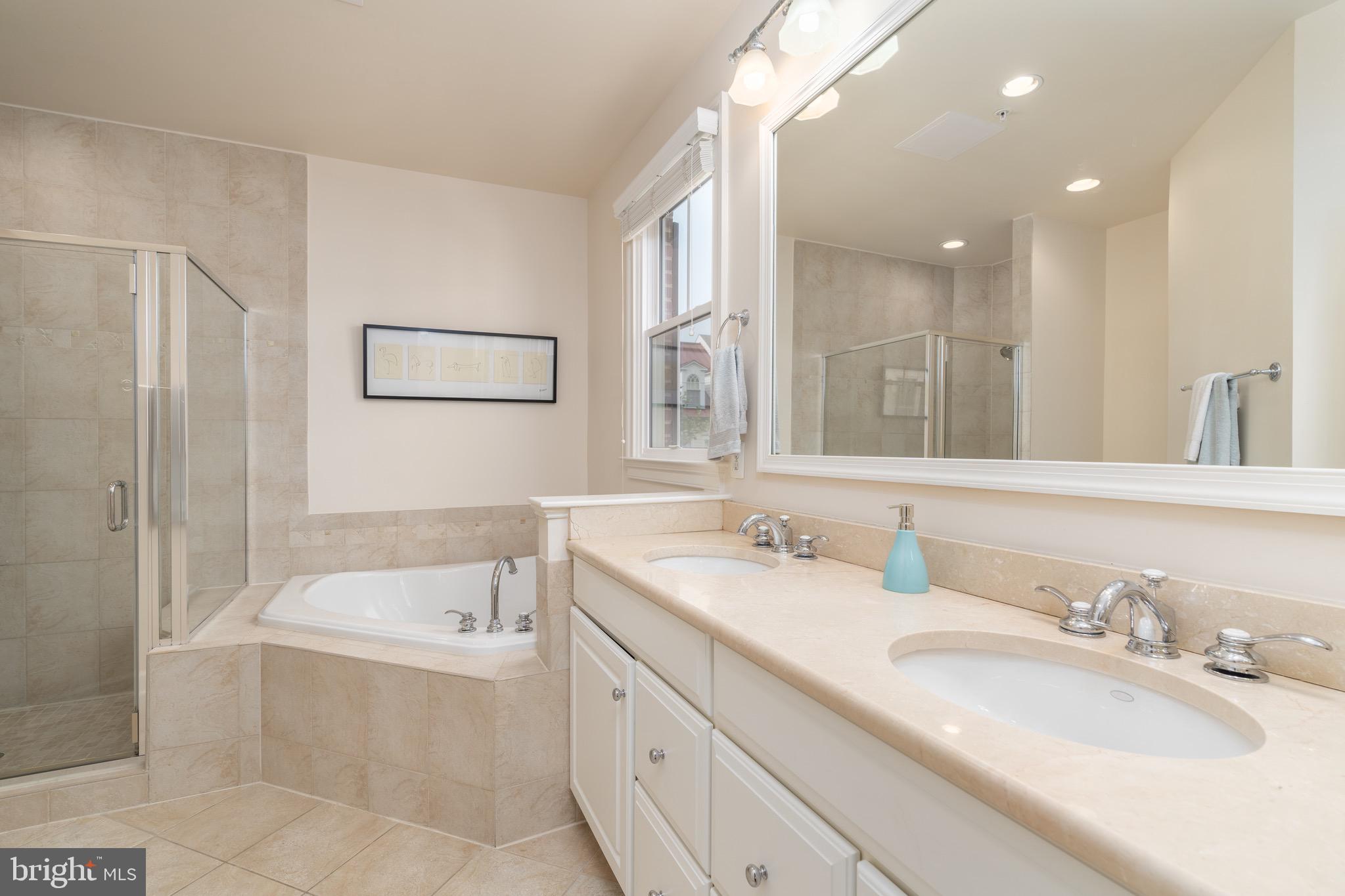725 Carpenter Road Alexandria, VA 22314 - Photo 6 of 36 Ensuite spa-like primary bathroom