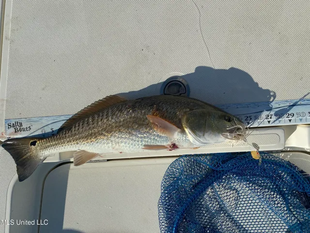 $24,500 | 3031 Grand Plains Bayou Drive, Bay St. Louis, MS 39520