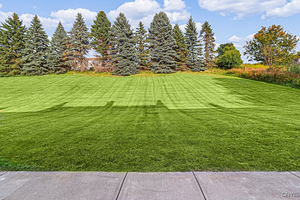 62 Chestnut Road New Hartford, NY 13413 - Photo 31 of 31