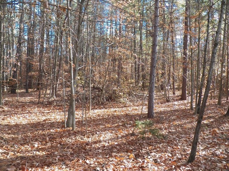 520 Green Mountain Road Effingham, NH 03882 - Photo 39 of 42