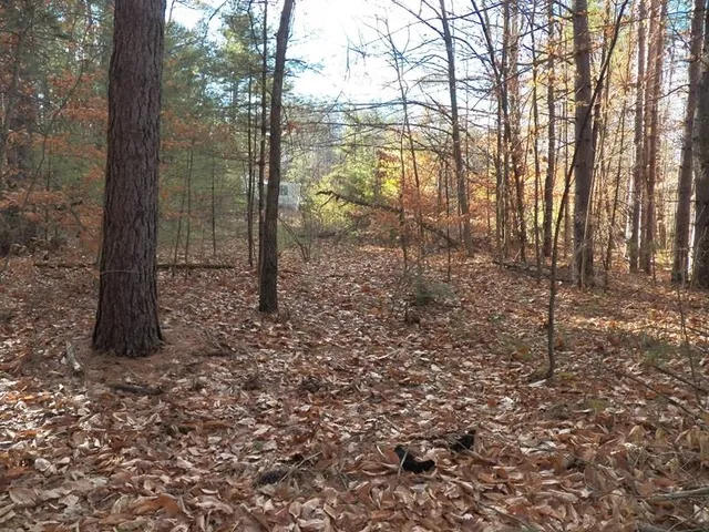 $259,400 | 520 Green Mountain Road, Effingham, NH 03882