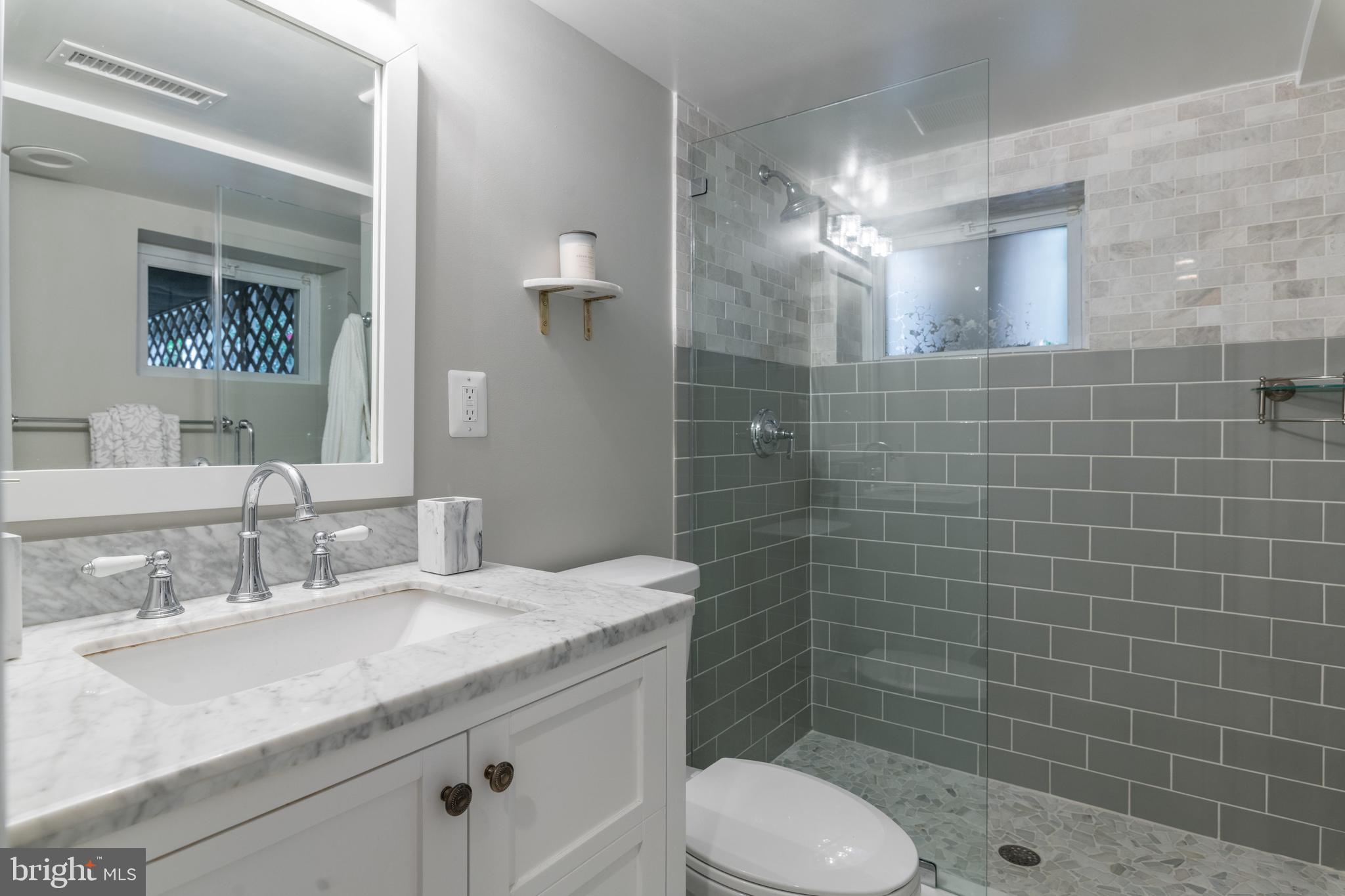 205 East Spring Street Alexandria, VA 22301 - Photo 30 of 51 Full Bath