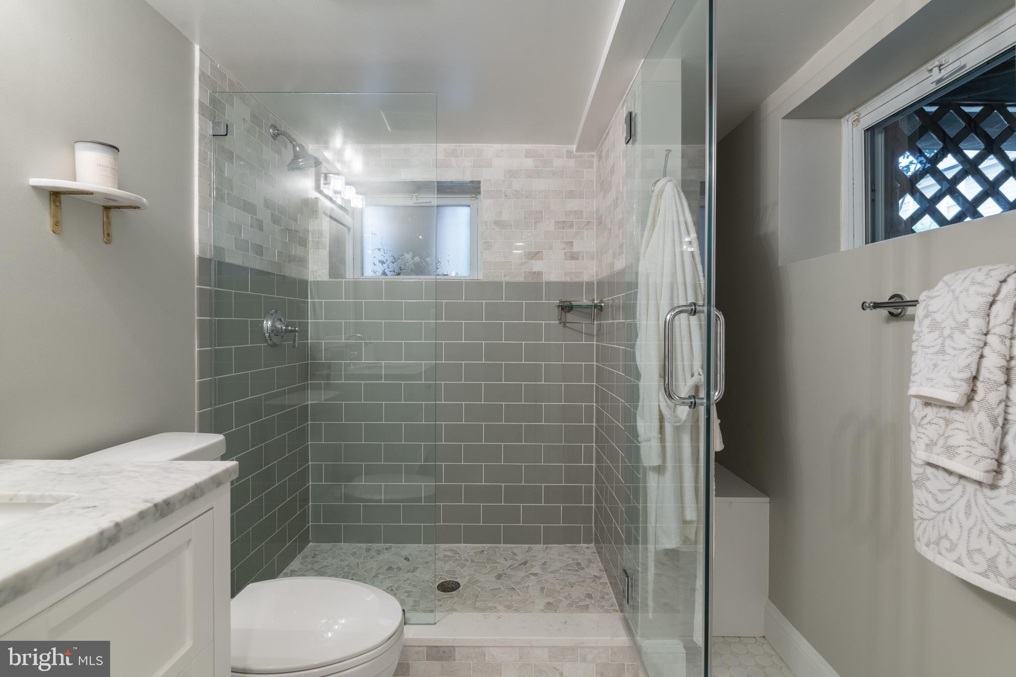 205 East Spring Street Alexandria, VA 22301 - Photo 31 of 51 Full Bath