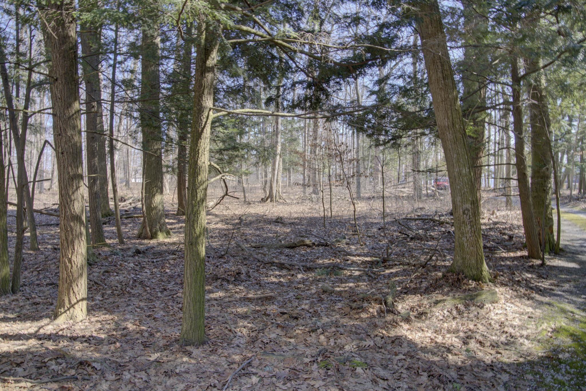 4152 North Omena Point Road Omena, MI 49674 - Photo 39 of 46