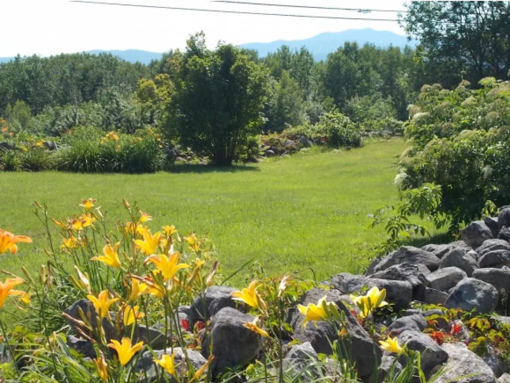 152 Cushing Corner Road Freedom, NH 03836 - Photo 34 of 35 Gallery Image 34