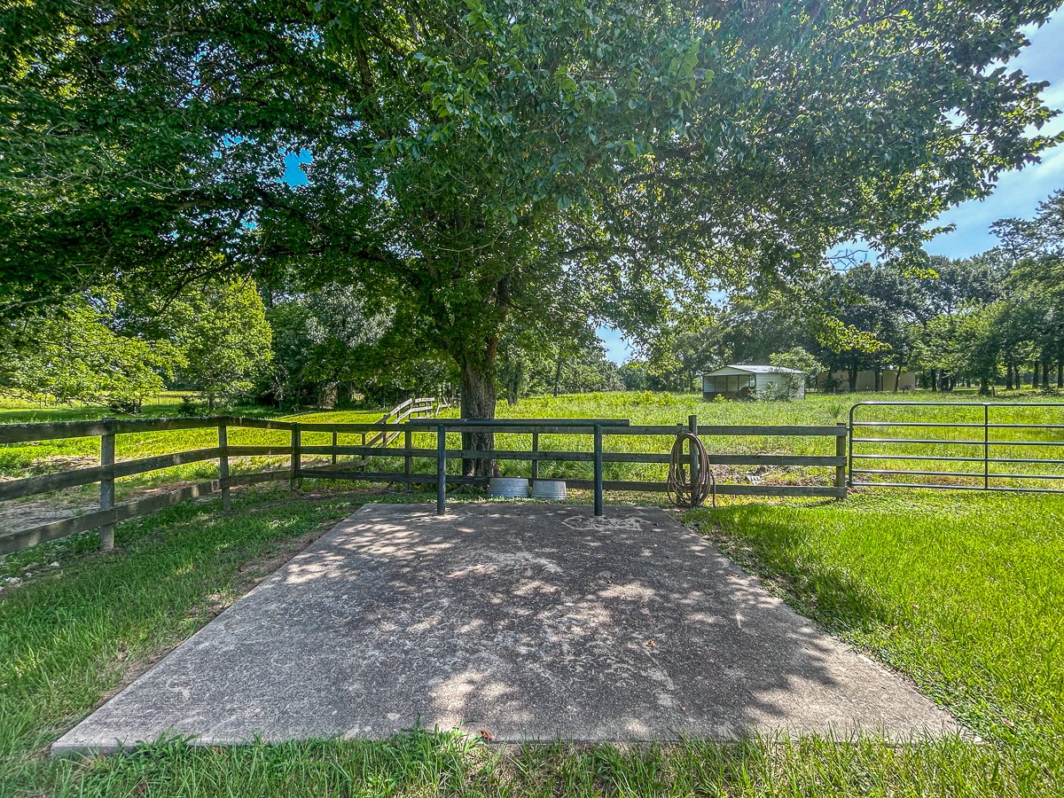 0 Fm 3179 Huntsville, TX 77340 - Photo 16 of 27 a view of a park with large trees