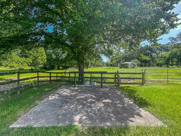 a view of a park with large trees
