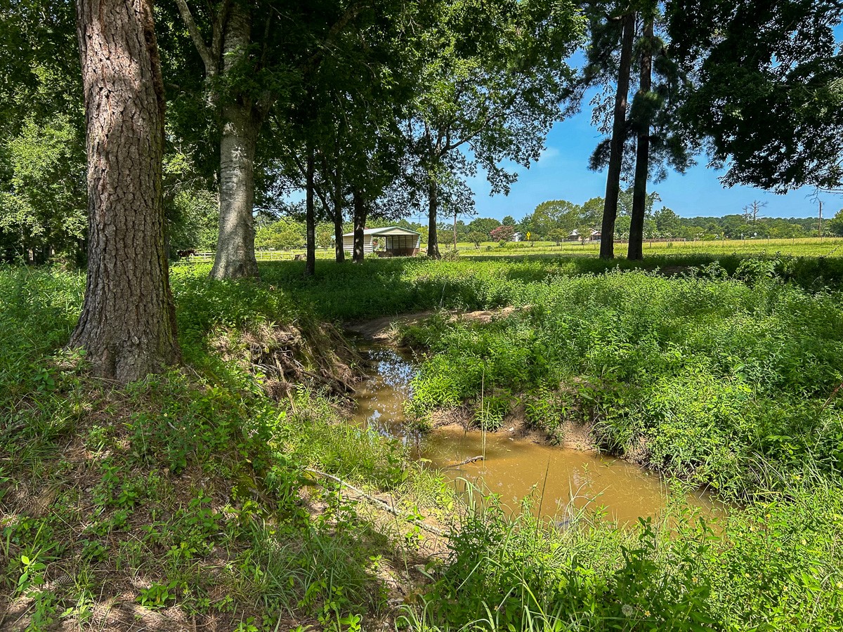 0 Fm 3179 Huntsville, TX 77340 - Photo 21 of 27 a view of outdoor space with deck and yard