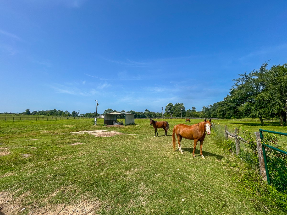 0 Fm 3179 Huntsville, TX 77340 - Photo 22 of 27 a backyard of a house with table and chairs