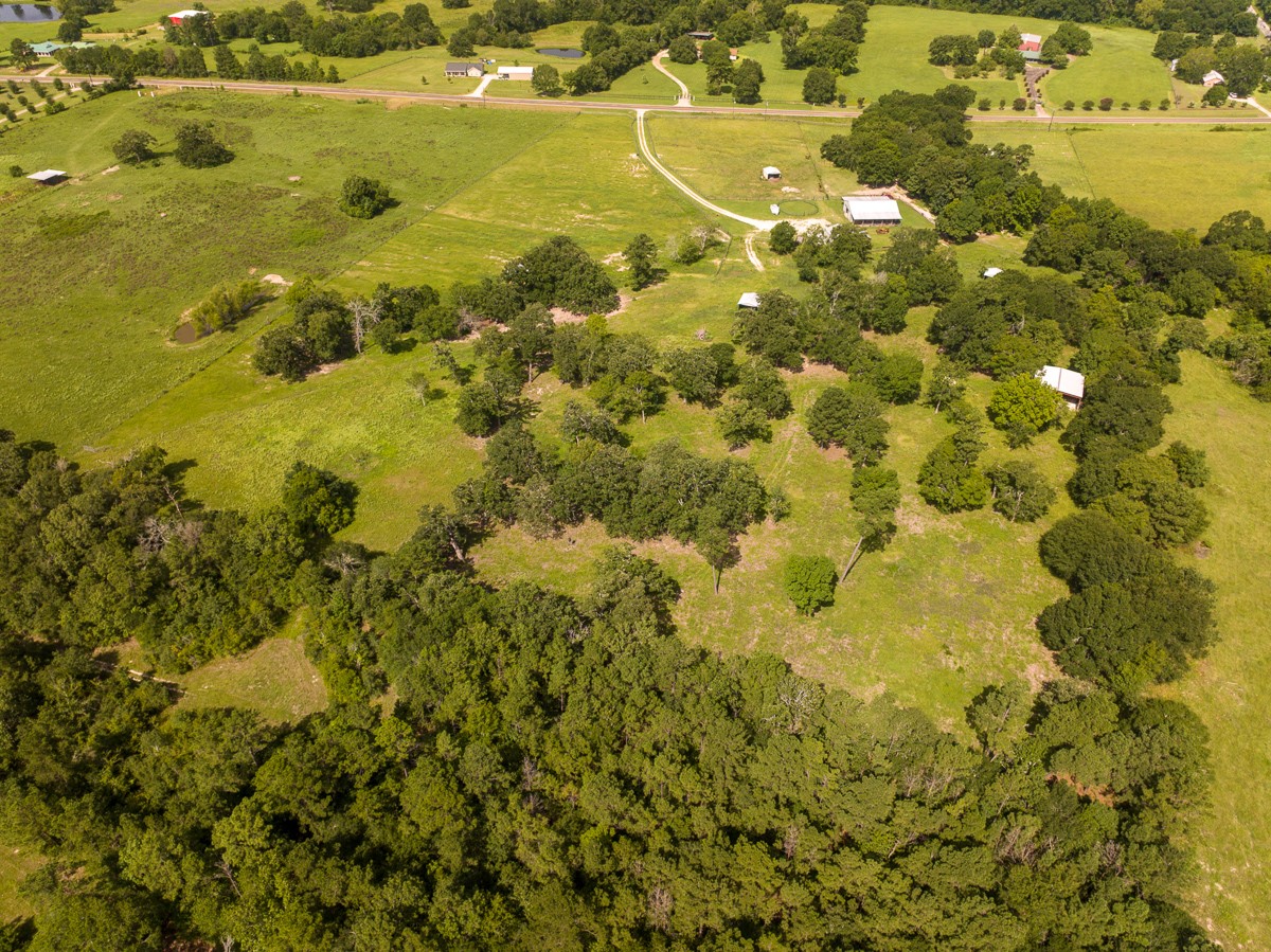 0 Fm 3179 Huntsville, TX 77340 - Photo 24 of 27