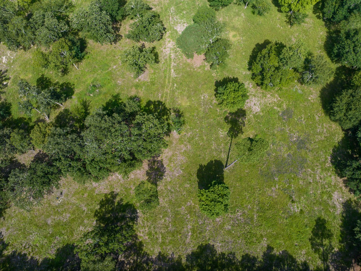 0 Fm 3179 Huntsville, TX 77340 - Photo 25 of 27 a view of a garden