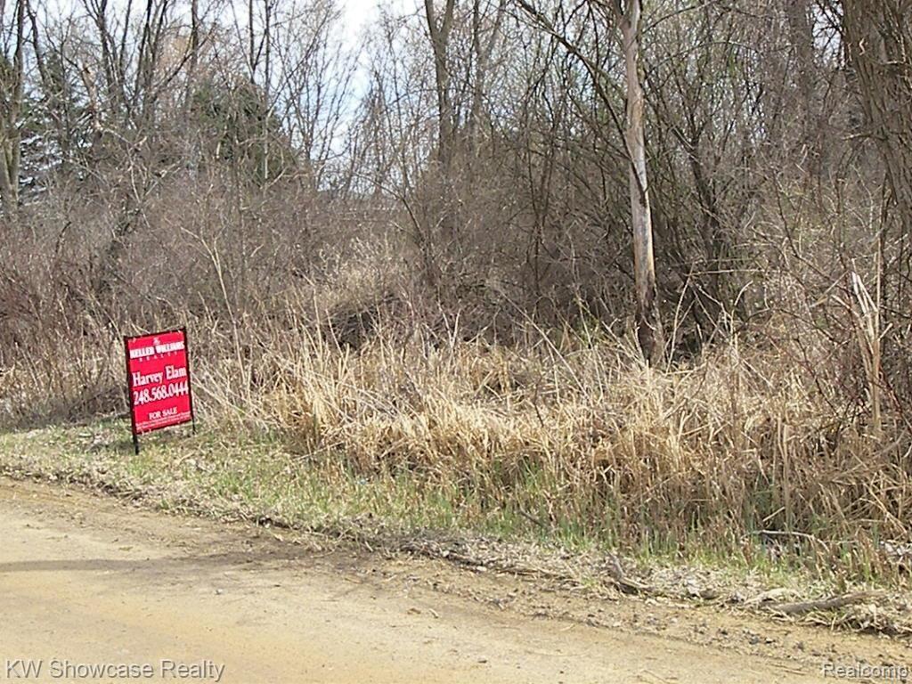 Vacant Shifman Road Goodrich, MI 48438 - Photo 2 of 9