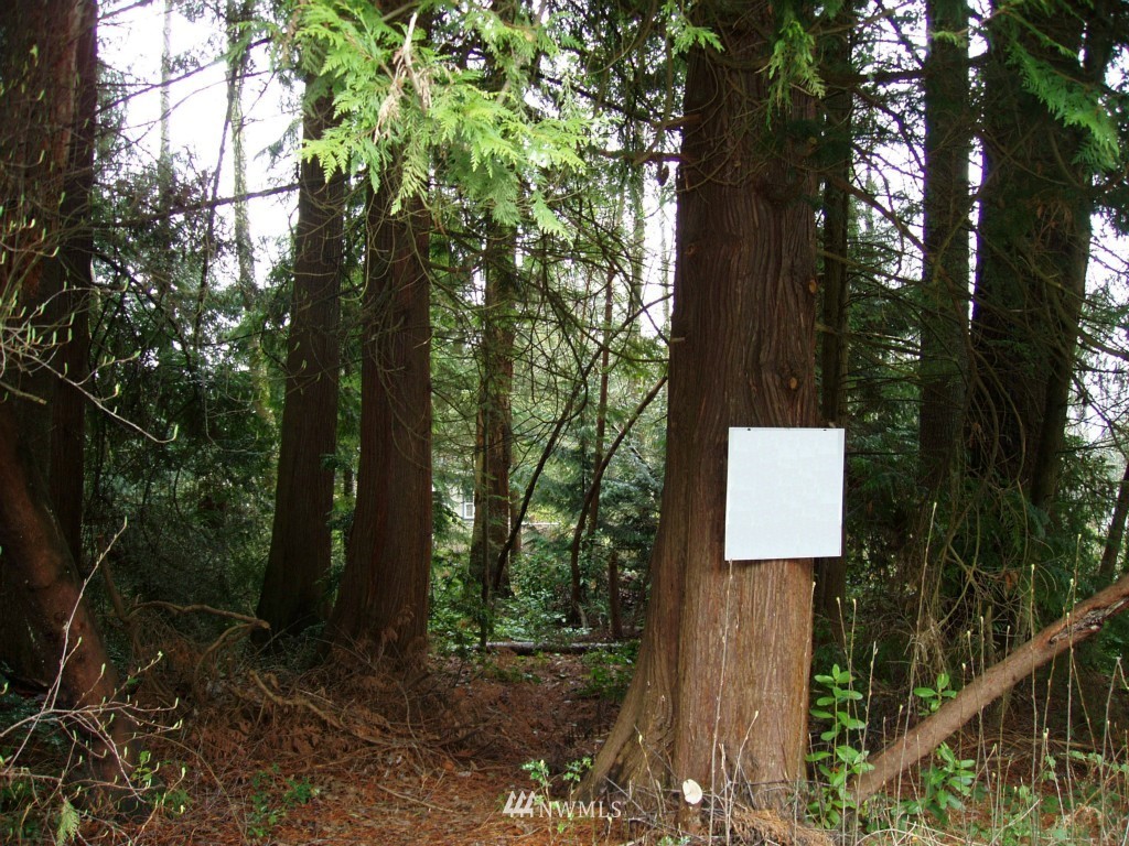 3 Lidstrom Road Southeast Port Orchard, WA 98366 - Photo 1 of 1 Gallery Image 1
