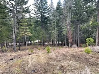 a view of backyard with green space