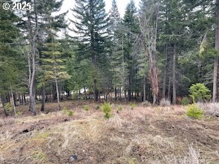 Kida Road, Unit 4 White Salmon, WA 98672 - Photo 2 of 8 a view of backyard with green space