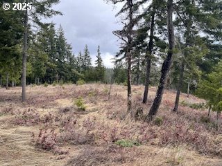 Kida Road, Unit 4 White Salmon, WA 98672 - Photo 4 of 8 a view of a forest