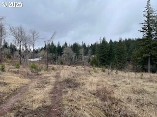 Kida Road, Unit 4 White Salmon, WA 98672 - Photo 5 of 8 a view of a dry yard with trees in the background