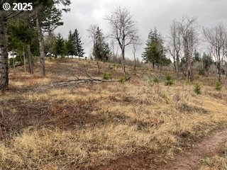 Kida Road, Unit 4 White Salmon, WA 98672 - Photo 6 of 8 a view of a yard with trees