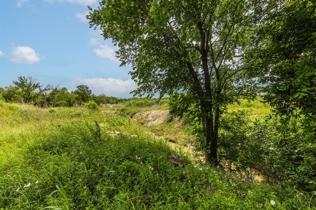 707 Robinson Drive Robinson, TX 76706 - Photo 13 of 19