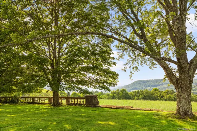 a view of a park that has large trees