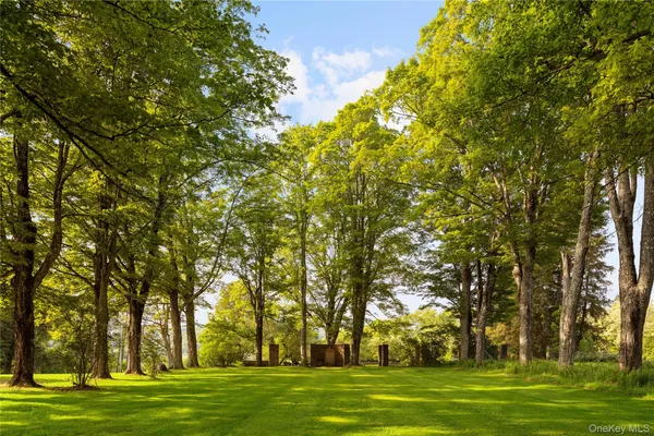 a big yard with trees
