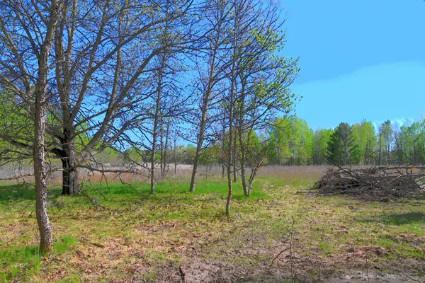 $8,500 | Tbd Poplar Lane, Browerville, MN 56438