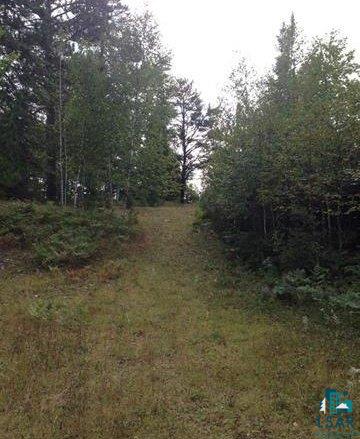 3636 Salo Road Embarrass, MN 55732 - Photo 2 of 13