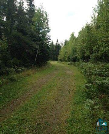 3636 Salo Road Embarrass, MN 55732 - Photo 3 of 13