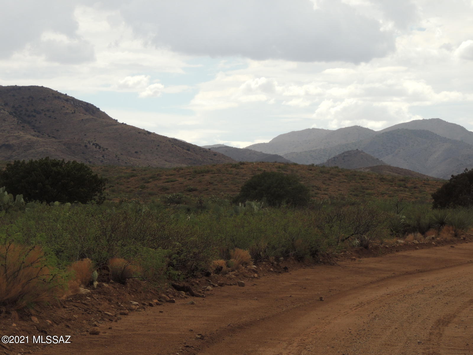 40.82 Acres Mulkins Ranch Road, Unit 11 Bowie, AZ 85605 - Photo 8 of 17