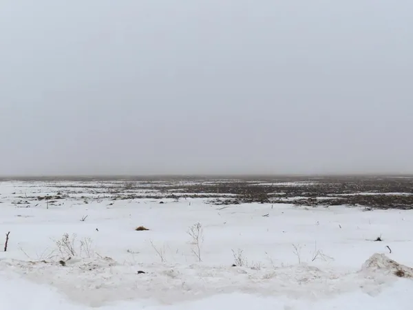 $299,900 | Tbd 180th Street Northwest, Thief River Falls, MN 56701