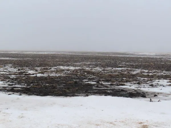 $299,900 | Tbd 180th Street Northwest, Thief River Falls, MN 56701