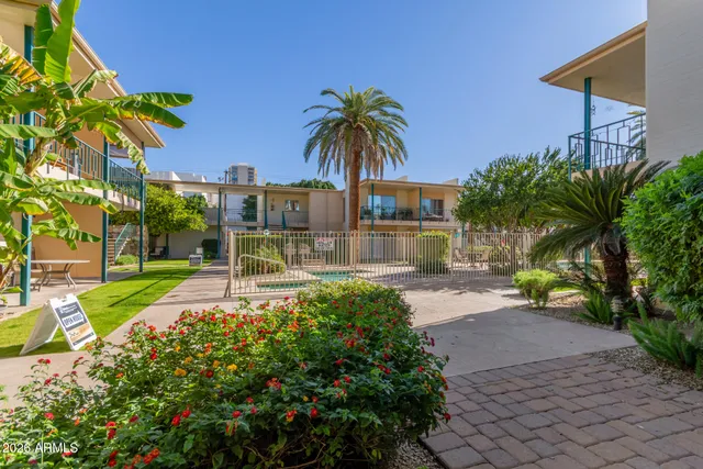 a view of a palm trees front of house