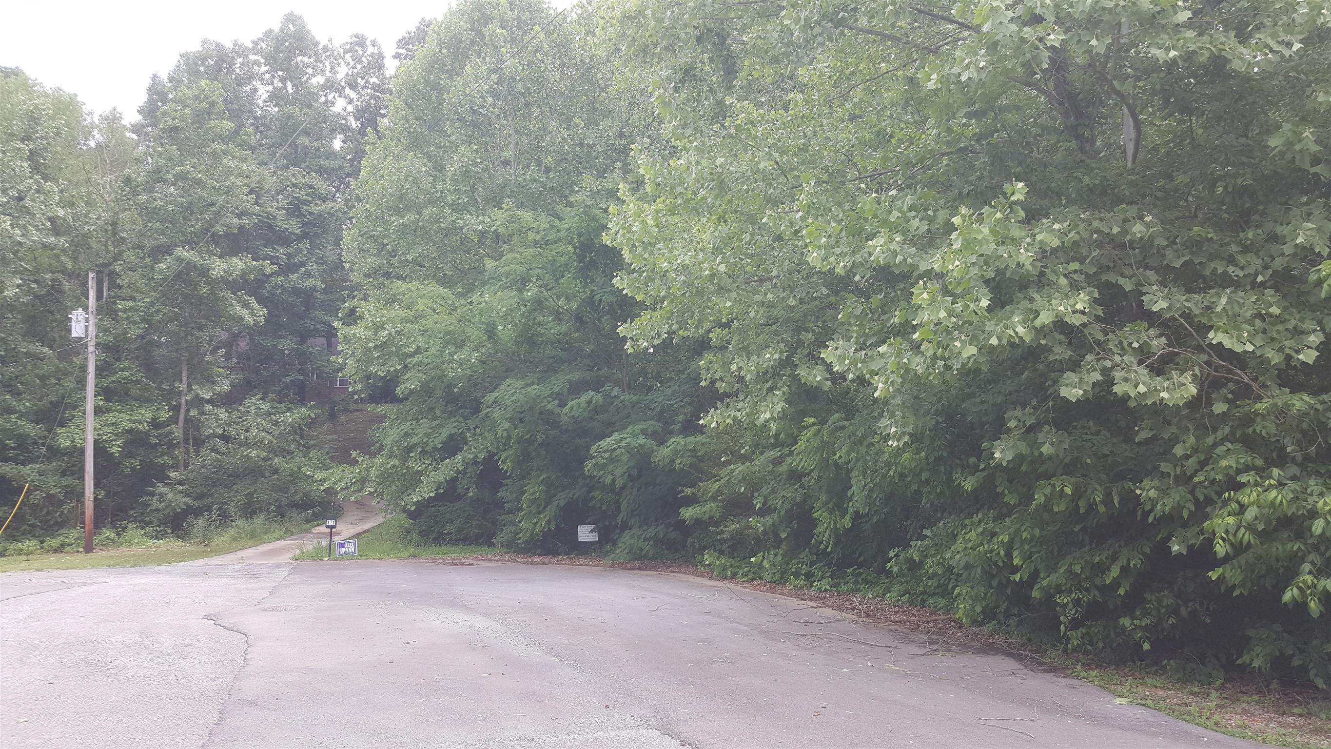 0 Cedar View Drive Charlotte, TN 37036 - Photo 2 of 2 a view of a yard with a tree