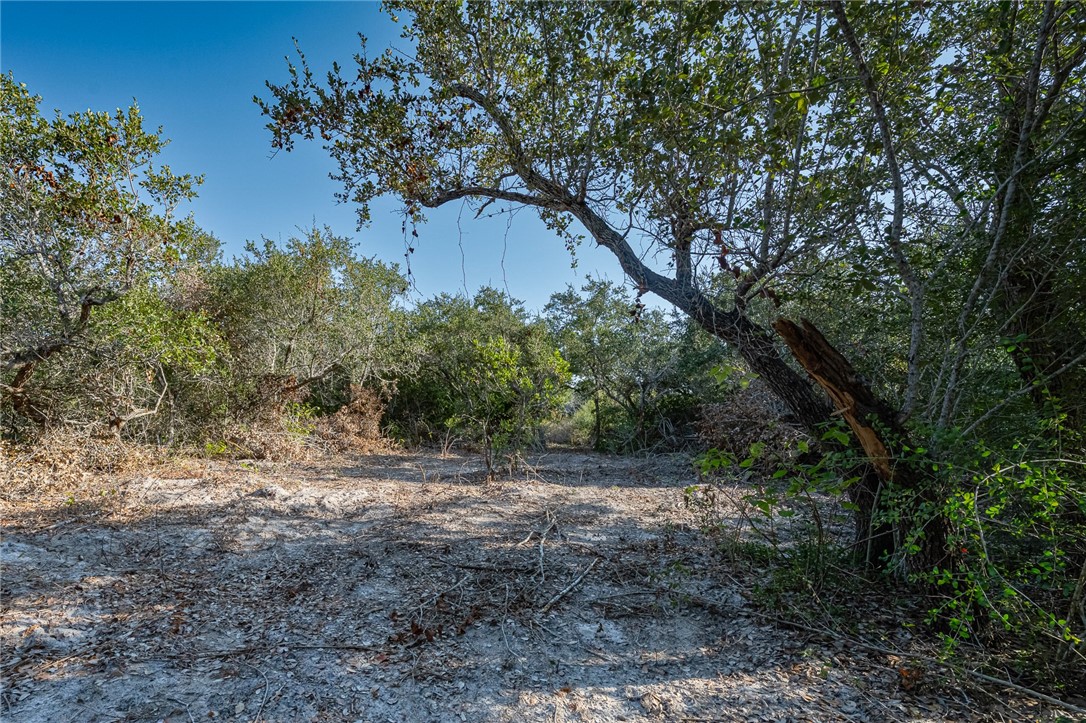 1501 Prairie Road Rockport, TX 78382 - Photo 3 of 17