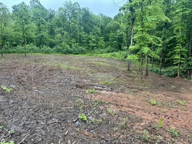 23085 Jordan Run Road Coolville, OH 45723 - Photo 9 of 18 7fe7b8c6-d8f6-46c5-85c6-8df5bc171e8d