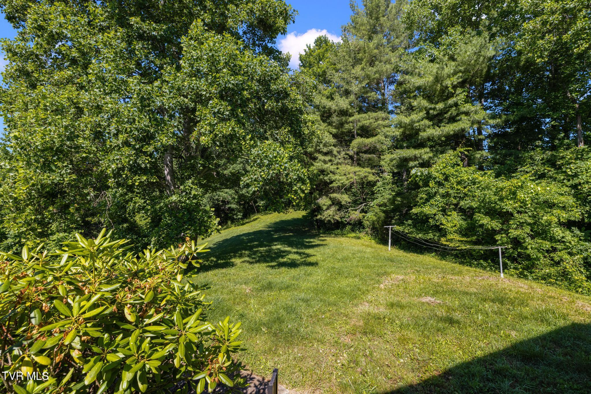 35000 Barrtree Lane Glade Spring, VA 24340 - Photo 70 of 79 IMG_8902