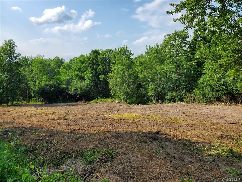 a view of dirt field and trees around