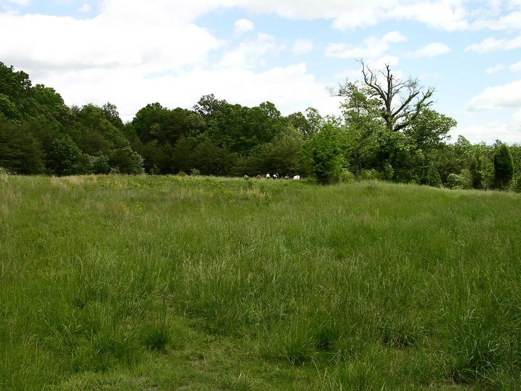 a view of field with trees in the background