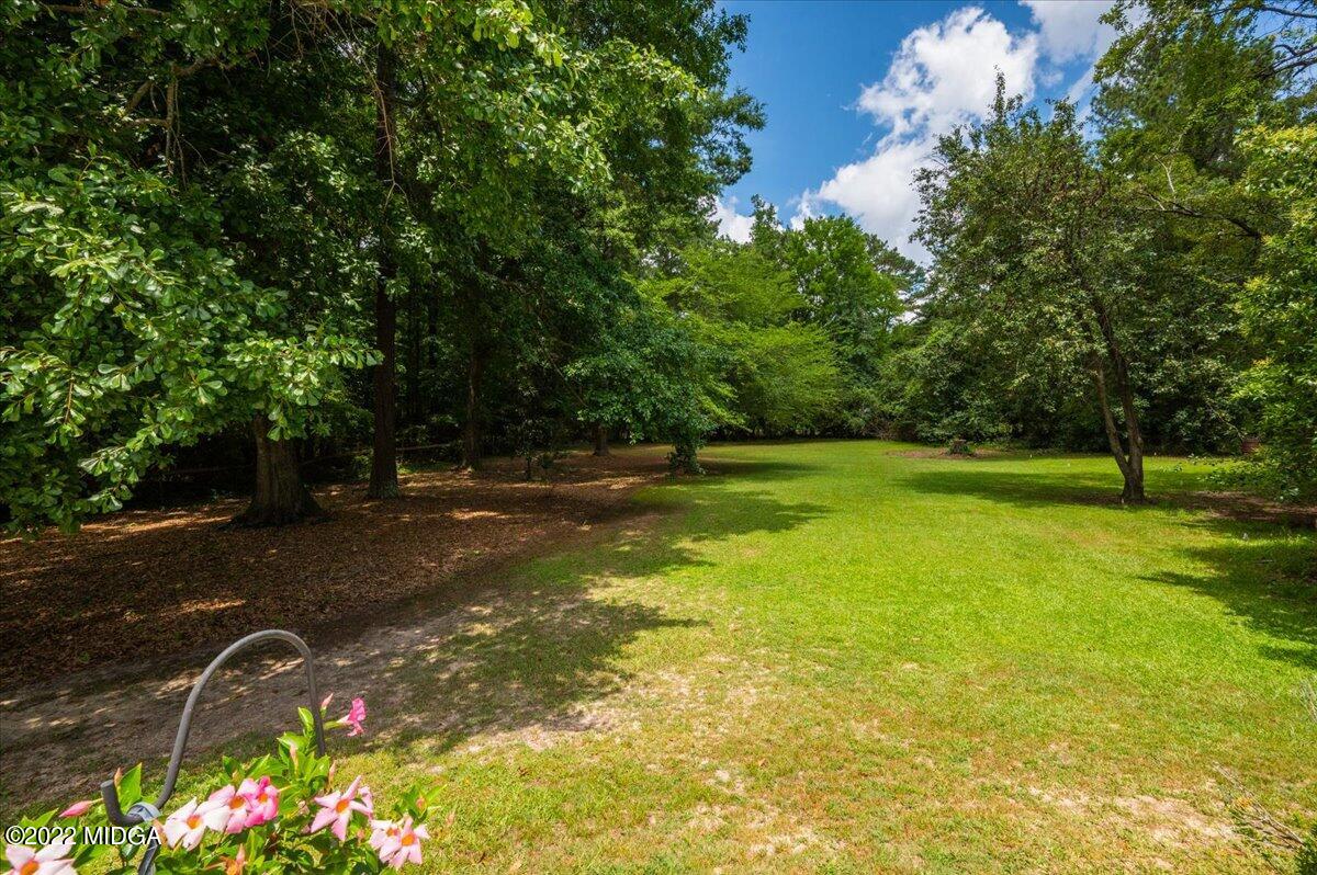 788 Bass Road Macon, GA 31210 - Photo 60 of 71 a view of a garden with a slide