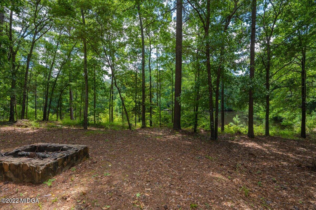 788 Bass Road Macon, GA 31210 - Photo 71 of 71 a view of a forest with trees in the background