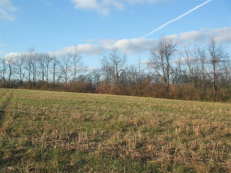 1409 Clintonville Road Winchester, KY 40391 - Photo 9 of 11 Photo 9