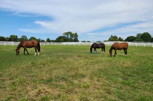 $1,199,000 | 6N777 Palomino Drive, St. Charles, IL 60175