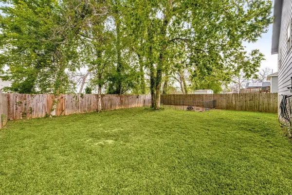 a view of a backyard with large trees and wooden fence