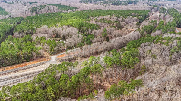 a picture of trees with a yard